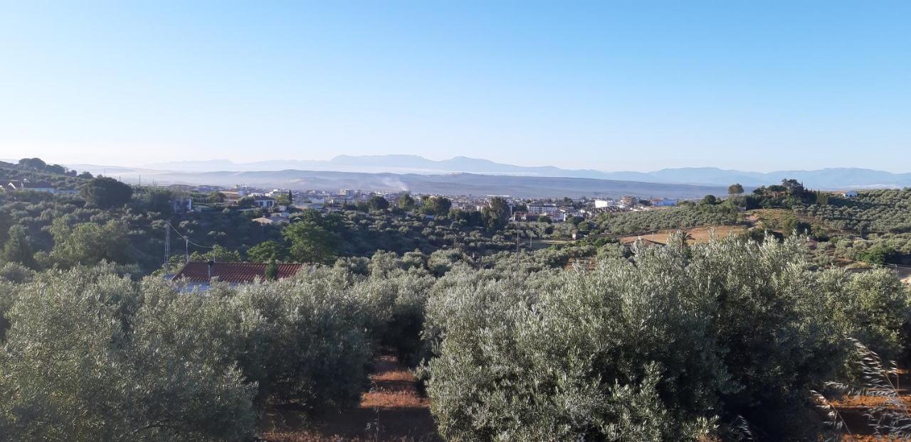 Bailén Piso La Buganvilla מראה חיצוני תמונה